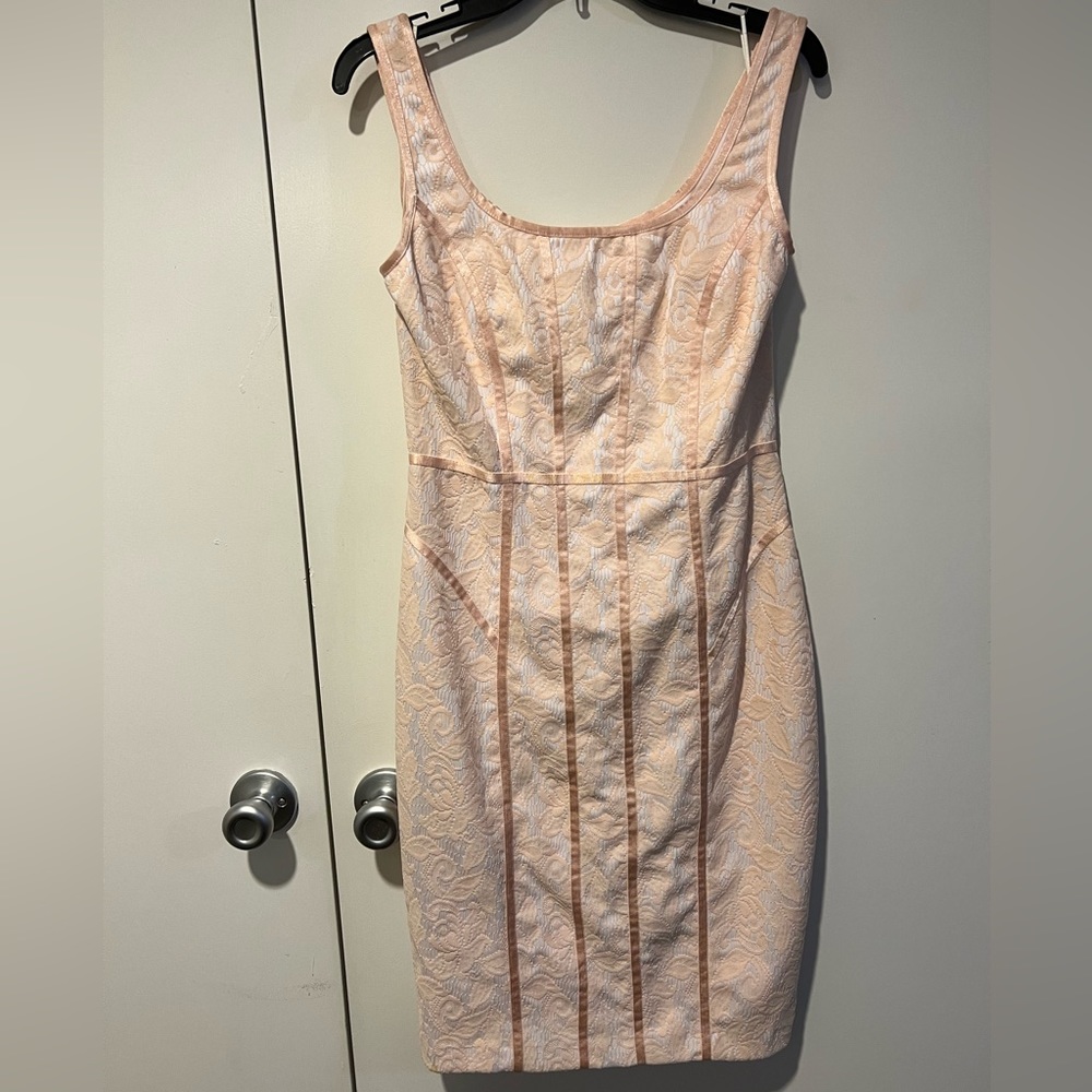 NWT Cache Pink/White Lace Sheath Dress